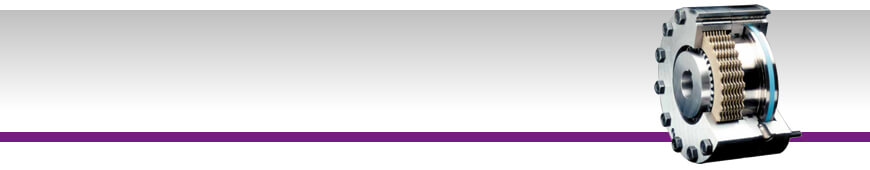 Pressure released and spring operated multiple disc brakes FDLB, LB